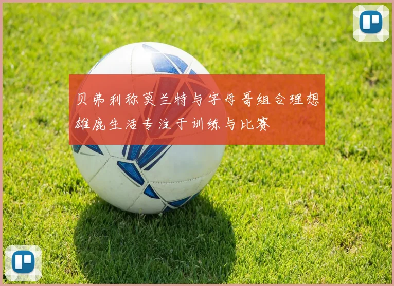 贝弗利称莫兰特与字母哥组合理想雄鹿生活专注于训练与比赛