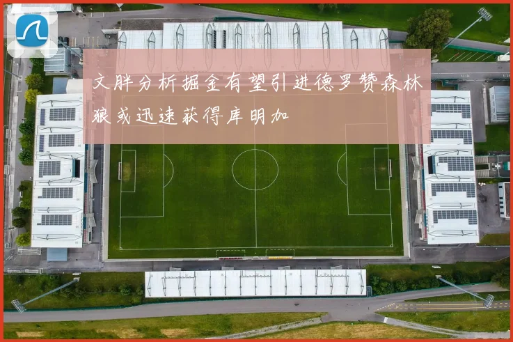 文胖分析掘金有望引进德罗赞森林狼或迅速获得库明加