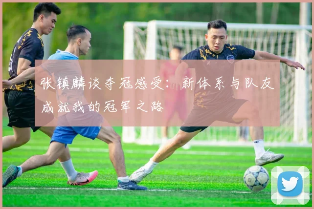 张镇麟谈夺冠感受：新体系与队友成就我的冠军之路
