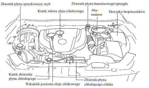 Widok komory silnika