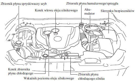 Mazda 6 Widok komory silnika Plan obsługi wykonywanej